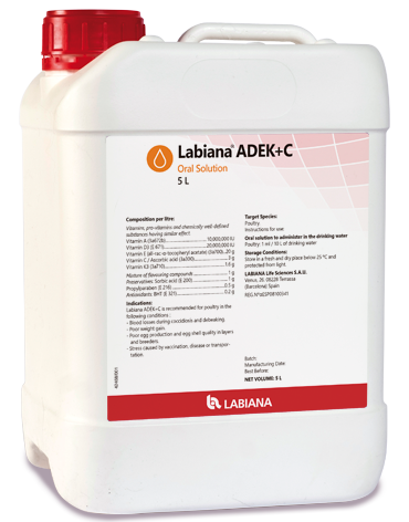 labiana-adek-C