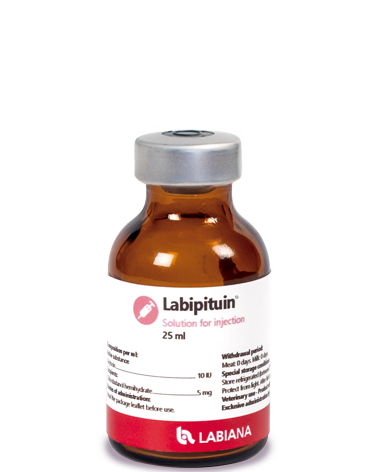 labipituin